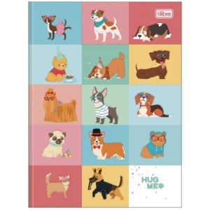 CADERNO BROCHURA CD UNIV HUG ME 80 FLS TILIBRA