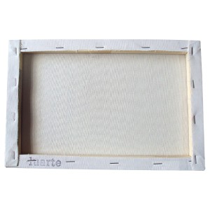 TELA PARA PINTURA 30X40 LUARTE