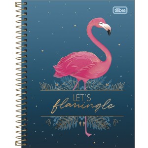 CADERNO ESPIRAL CD COLEGIAL 1M ALOHA 80 FLS TILIBRA